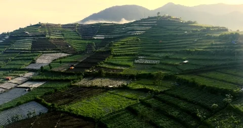 Asian rice terrasse fields (part 1) Stock Footage 269593312