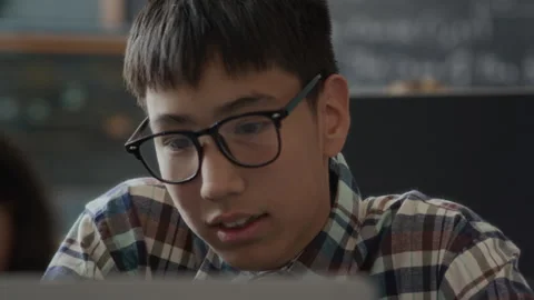 Asian Schoolboy Studying Programming during Lesson Stock Footage 284431398
