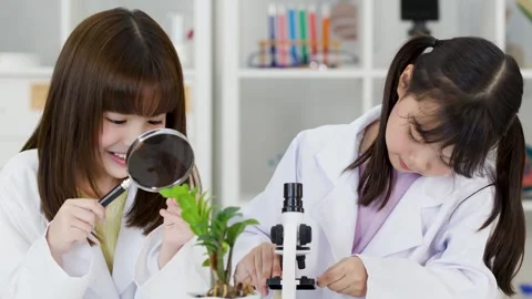Asian Schoolgirls in Lab Coats Studying Plants with Microscope and Magnifier Stock Footage 342087341