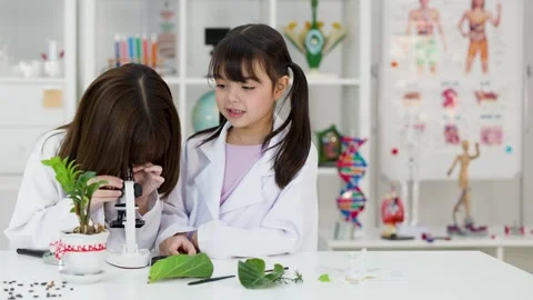 Asian Schoolgirls in Lab Coats Using Microscope for Biology Experiment Stock Footage 342090068