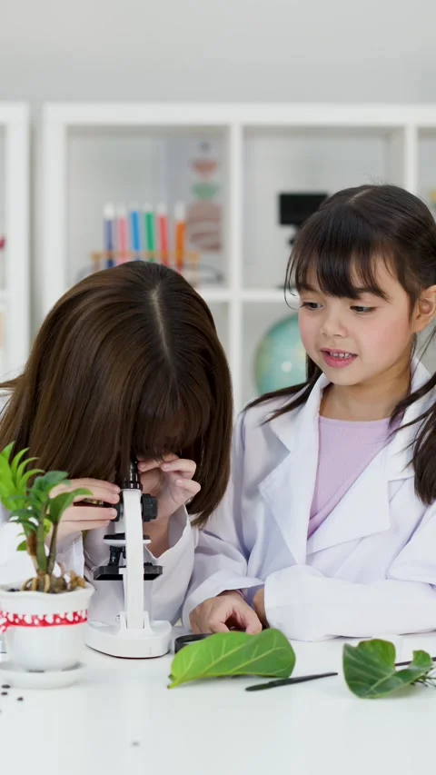 Asian Schoolgirls in Lab Coats Using Microscope for Biology Experiment Stock Footage 344943403
