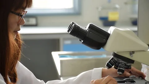 Asian scientist looking through microscope adjusting lens for lab test Stock Footage 87369566