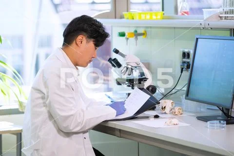 Asian scientist working in lab. Doctor making microbiology research. Laboratory Stock Photos