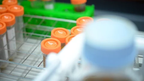 Asian scientist working in the lab Stock Footage 94971238