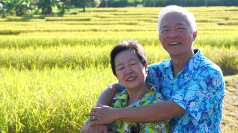 Asian senior couple hugging in front of rice field. Travel in morning sun Stock Footage