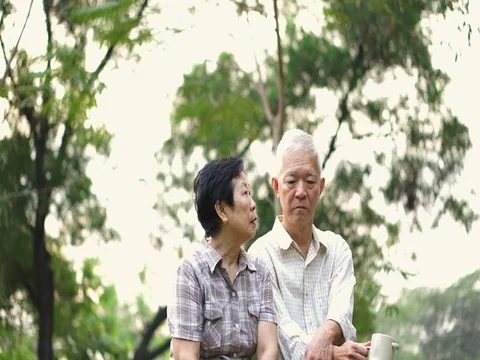 Asian senior couple serious discussion. Life, financia,l family issue Stock Footage
