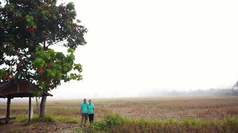 Asian senior couple standing in the mist foggy rice field. Agricultural business Stock Footage 59376348