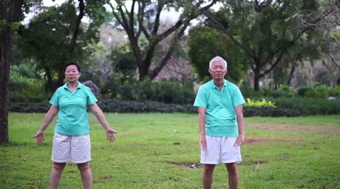 Asian Senior Elderly couple Practice Taichi, exercise outdoor in the park Stock Footage 61909749