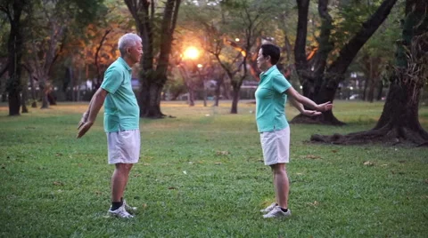 Asian Senior Elderly couple Practice Taichi, exercise outdoor in the park Stock Footage 61909815