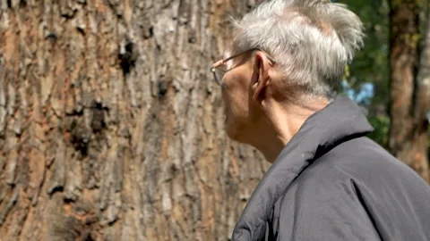 Asian Senior men touching tree with gentle on nature background.  Stock Footage 131280575