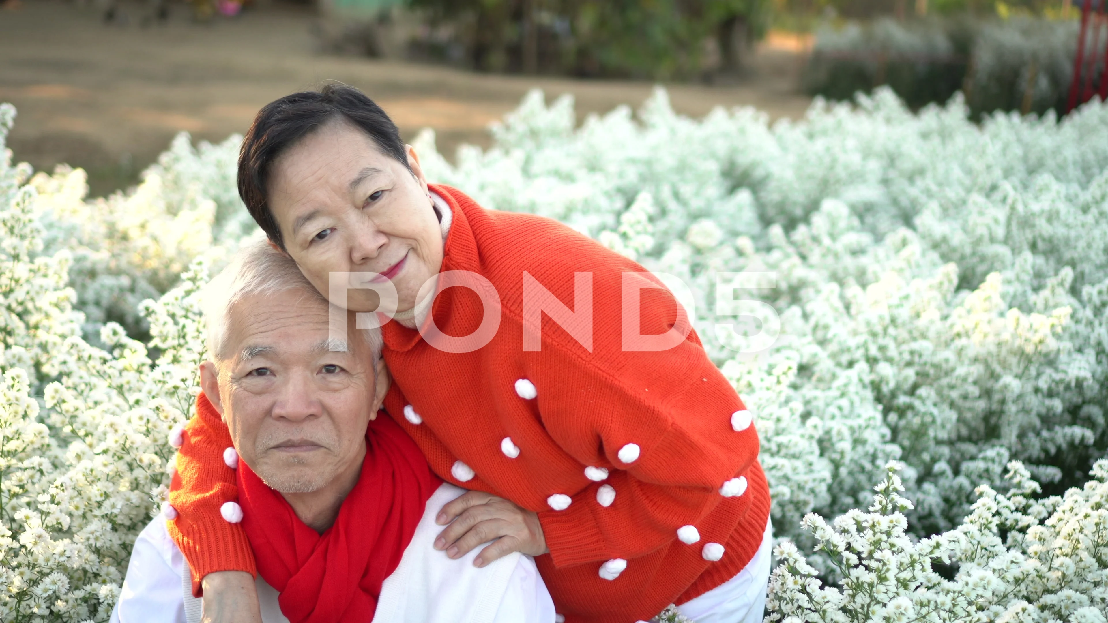 Asian senior old couple in white red holiday christmas theme love hug happy  t