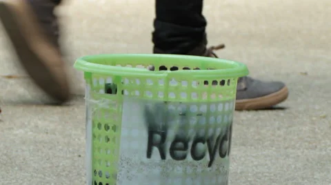 Asian small clawed otter Stock Footage 46081807