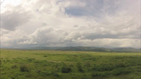 ASIAN STEPPE 7 Video stock 22627899