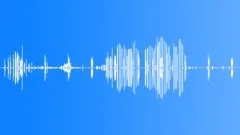 On Asian steppe lake shoreSound Effect