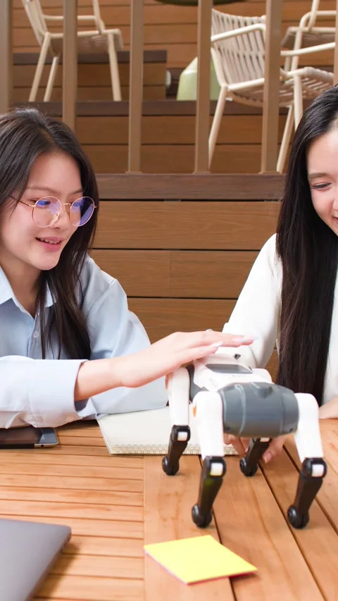 Asian Students Testing Robotic Dog Together on Campus Stock Footage 345784521