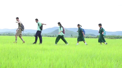 Asian Students Walking Through Rice Field On The Way To School 스톡 동영상 34547260