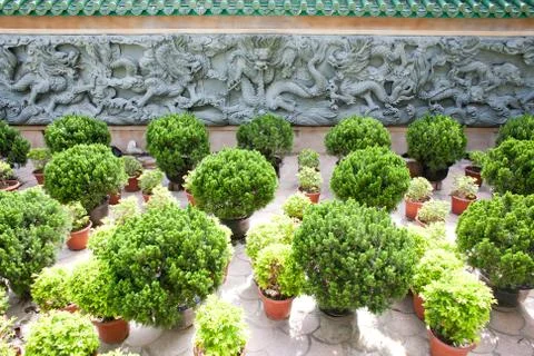Asian style dragon stone pattern on a wall in the garden Фото
