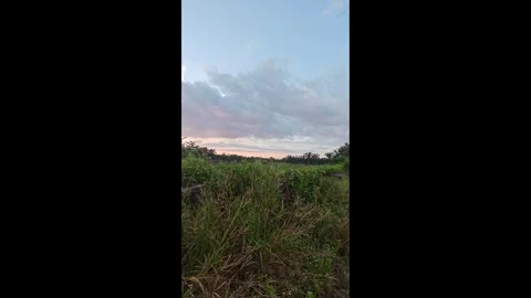 Asian sunrise Video stock 336646027