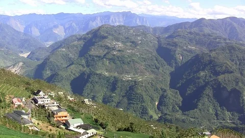 Asian tea plantation Stock Footage 74142760