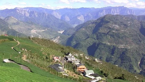 Asian tea plantation Stock Footage 74142775