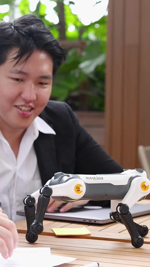 Asian Tech Engineers Testing Quadruped Robotic Dog at Modern Outdoor Office Stock Footage 346221027