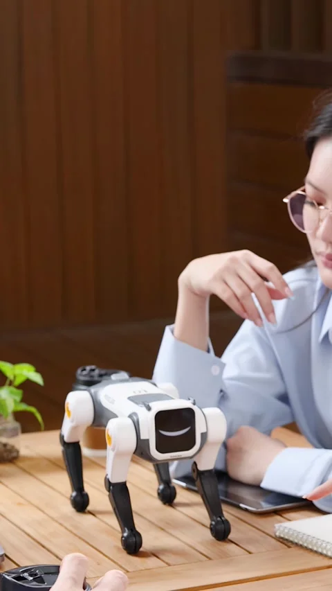Asian Tech Team Observing Quadruped Robotic Dog During Meeting Stock Footage 347256211