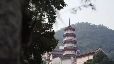Asian Temple in forest jungle Video stock 127032925