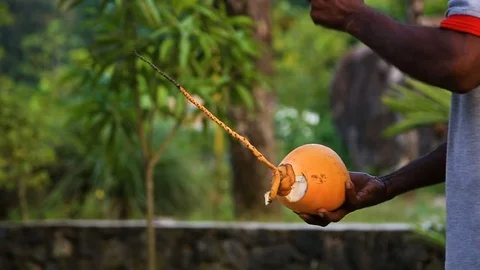 Asian Thai native chef shows how to pinch fresh coconut shell for coconut fruit Stockbeeldmateriaal 74931788