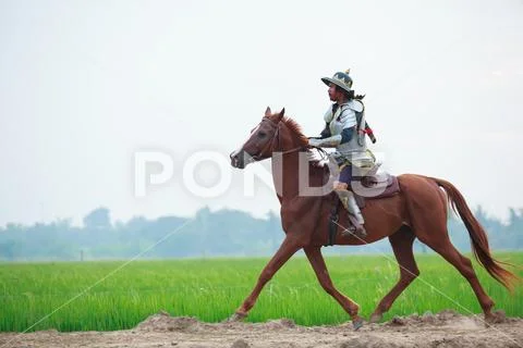 Asian Thai Warrior in traditional armor suit riding horse in rural farm backg Stock Photos