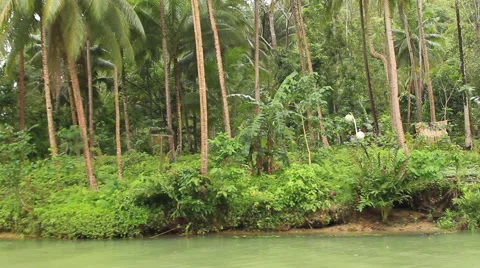 Asian thatched house on river Stock Footage 43674554