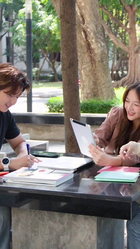 Asian University Students Discussing Projects and Studying Together Outdoors Stock Footage 335617138