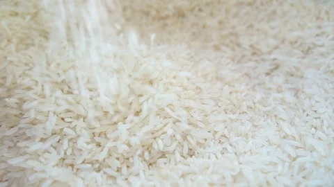 Asian white rice Stock Footage 71750890