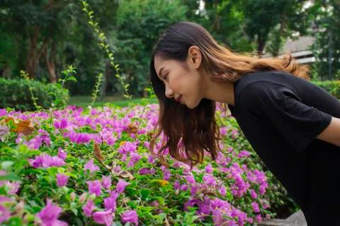 Asian woman bent down to look at the purple flowers (Bougainvillea) with publ Stock Photos