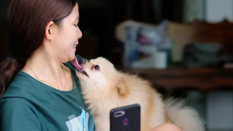 An Asian woman is taking a picture with her dog using a smartphone. Selfie Stock Footage