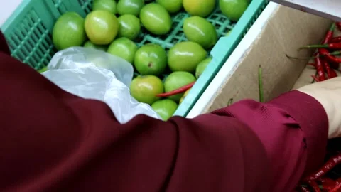 An asian woman's hand is selecting red chilies Video stock 280897325
