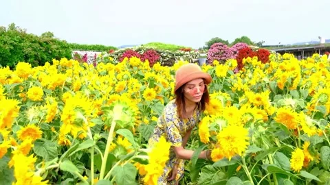 Asian women Stock Footage 245886249