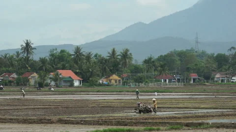 Asian worker is plowing a ground with motor-block on the agricultural land of Vídeos de archivo 67485535