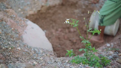 Asian worker using a hoe for digging canal 스톡 동영상 92794012