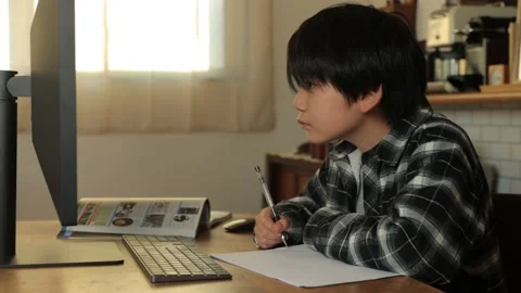 Asian young boy studying in front of computer monitor. Stock Footage 221360362