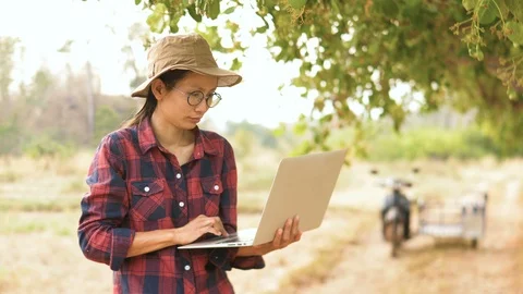 Asian young female farmer using laptop on her agricultural field in Thailand Stock Footage 126285306
