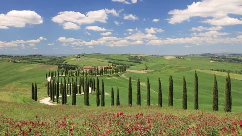 Asiano Landscape Timelapse Stock Footage 278445021