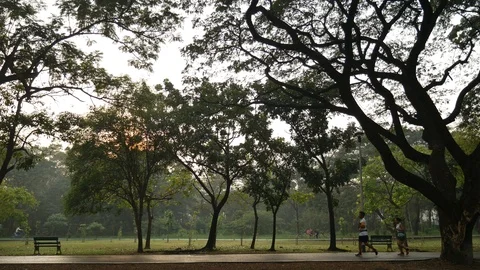 Asians jogging under trees Stock-Footage 106806790