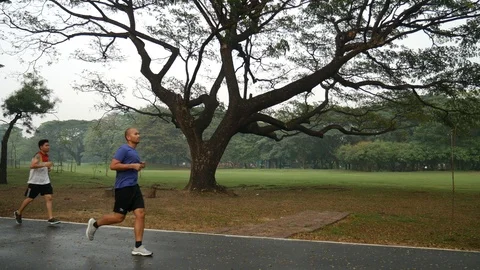 Asians jogging under trees Video stock 106807798