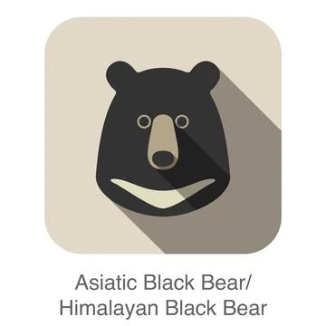 Asiatic black bear face flat icon design. Animal icons series. Stock Illustration