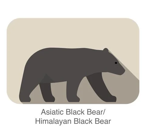 Asiatic black bear walking side flat 3D icon design, vector illustration Stock Illustration