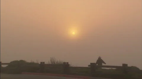 AsilomarWalkFoggy Stock Footage 478246