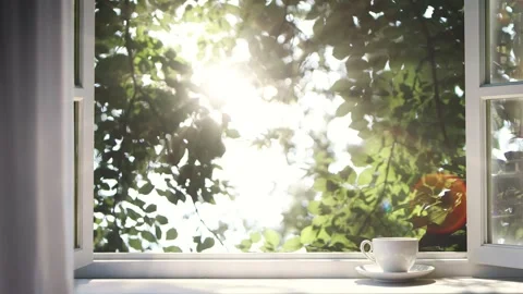 ASMR of forest outside window, shining sunlight and birdsong, looping video Stock-Footage 312487173