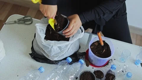 ASMR gardening video of scooping soil from bag with yellow shovel into small Stock Footage 343729478