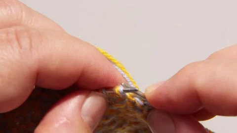 ASMR Gentle Yarn Threading Through Existing Knitting Project With Calm Movements Stock Footage 311060130