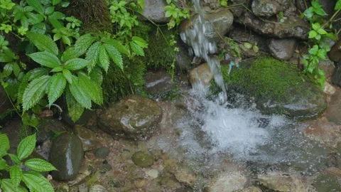 ASMR Relaxing Mountain Stream Flow Water Meditation 120fps Stock Footage 336849430